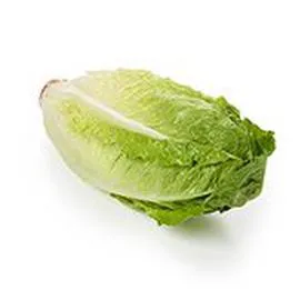  Coeur de romaine x2