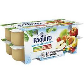 PAQUITO Purée de pomme-banane-fraise-abricot 16x100g