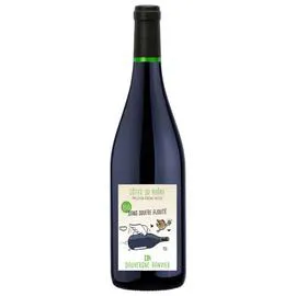 DAUVERGNE RANVIER Côtes du Rhône, sans soufre ajouté, rouge, bio 750ml