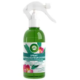 AIR WICK Neutralisateur D'Odeur Spray Frais Et Agréable D'Eucalyptus & Freesia 237ml