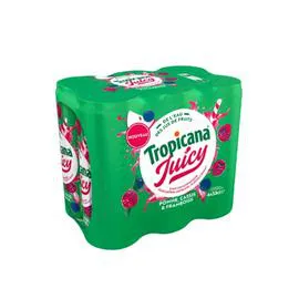 TROPICANA Boisson aux jus de fruits saveur pomme, cassis et framboise 6x33cl