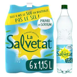 SALVETAT Eau gazeuse minérale naturelle 6x1,15l
