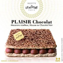 LE NOTRE Dessert glacé Plaisir au chocolat 405g