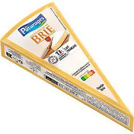 PÂTURAGES Pointe de brie 200g