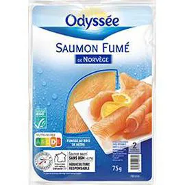 ODYSSÉE Saumon norvégien 75g