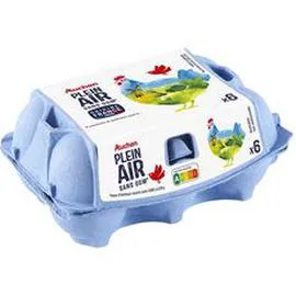 AUCHAN Oeufs de poules élevées en plein air sans OGM x6