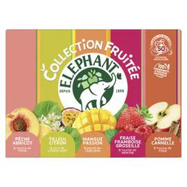 THÉ ÉLÉPHANT Coffret découverte infusions parfumées 89g