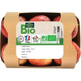 MON MARCHÉ PLAISIR BIO Pommes Gala bio x6