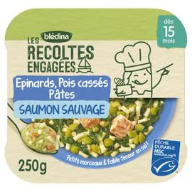 BLÉDINA, LES RECOLTES BIO Epinards pois cassés pâtes étoiles saumon sauvage dès 15 mois 250g