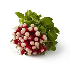 NATOORA Radis Rose l'unité