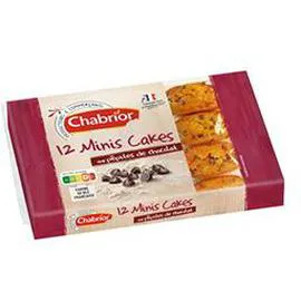 CHABRIOR Minis Cakes aux pépites de chocolat 450g