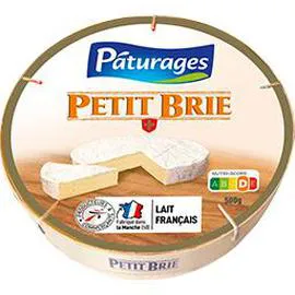 PÂTURAGES Petit brie 500g
