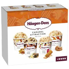 HÄAGEN-DAZS Glaces Caramel Attraction 321g
