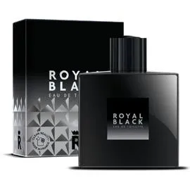 ARNO SOREL Eau de toilette pour homme 100ml