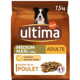 ULTIMA Croquettes pour chien medium maxi au poulet 7,5kg