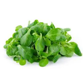 - Mâche barquette 150g