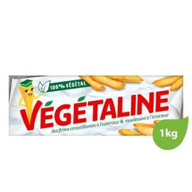 VEGETALINE Graisse végétale spéciale friture 2x500g