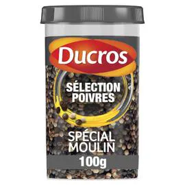 DUCROS Epices mélange spécial moulin 100g
