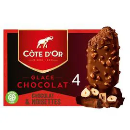 CÔTE D'OR Glace chocolat lait noisette 260g