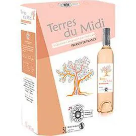 EXPERT CLUB Vin rosé Terre de Midi, IGP 5l