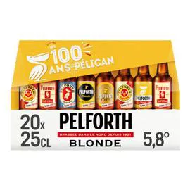 PELFORTH Bière blonde 20x25cl