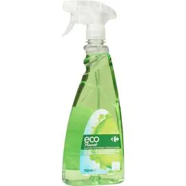 CARREFOUR ECO PLANET Nettoyant Ménager Lave Vitres 750ml