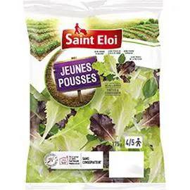SAINT ELOI Jeunes pousses 175g