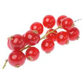 - Groseilles rouges 125g