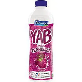 PÂTURAGES Yaourt à boire saveur framboise - Yab 850g