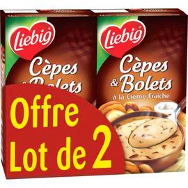 LIEBIG Potage Les Terroirs Cèpes et Bolets 2x1l