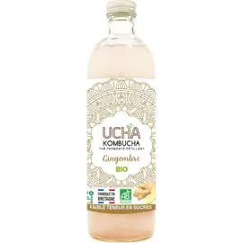 UCHA Kombucha Thé Fermenté Pétillant au Gingembre Bio 75cl